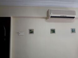 bukit-batok-street-32 photo thumbnail #6